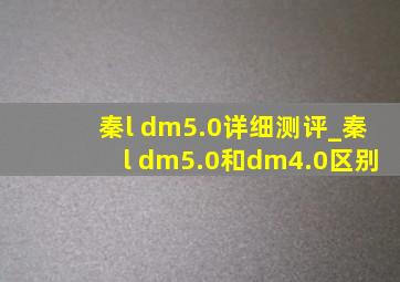 秦l dm5.0详细测评_秦l dm5.0和dm4.0区别